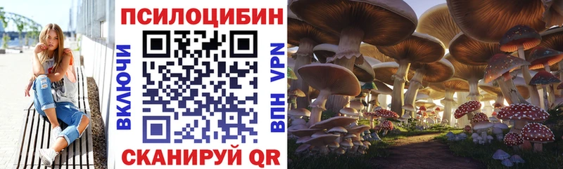 Галлюциногенные грибы мицелий  Купить  Дальнегорск 